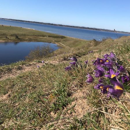 Porshus Ferielejlighed Sundstrup Buitenkant foto