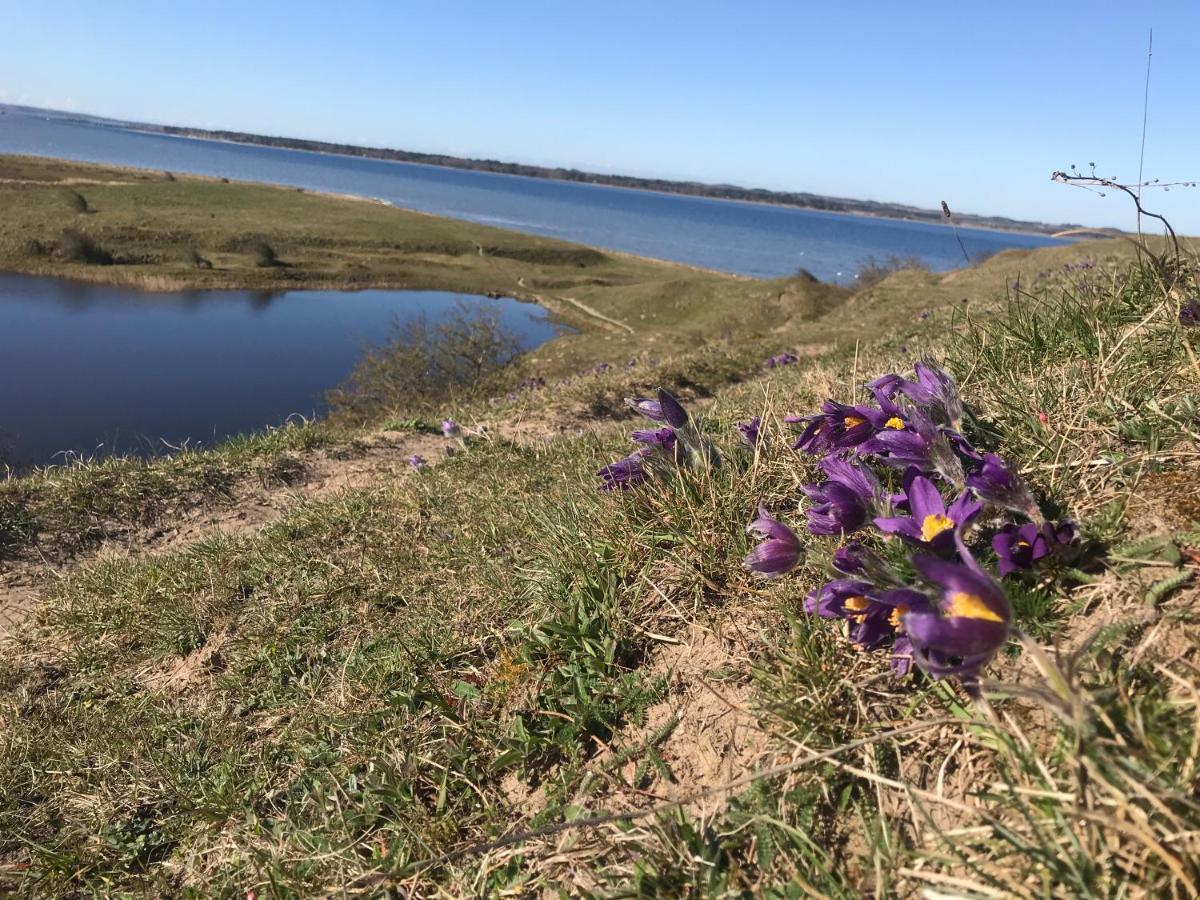 Porshus Ferielejlighed Sundstrup Buitenkant foto
